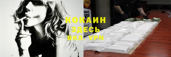 гашик Липки