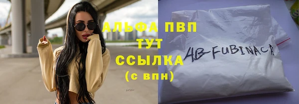 гашик Липки