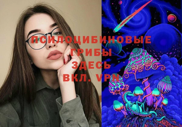 PSILOCYBIN Лиски