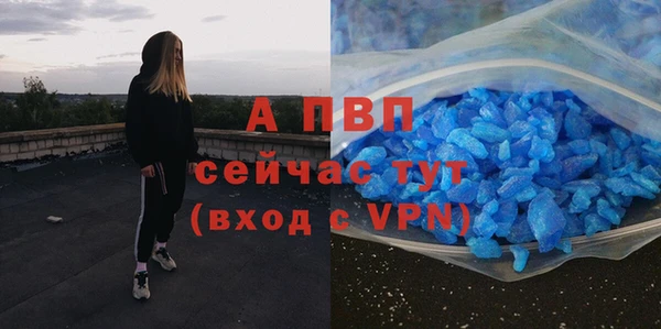 гашик Липки
