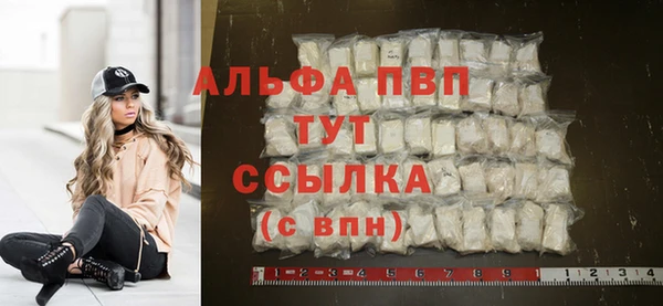 PSILOCYBIN Лиски