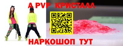 гашик Гусев