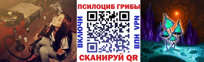 что такое   Грозный  Псилоцибиновые грибы GOLDEN TEACHER 