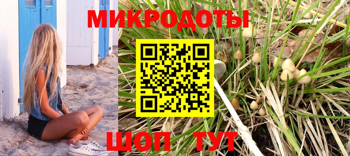 Галлюциногенные грибы MAGIC MUSHROOMS  Грозный 