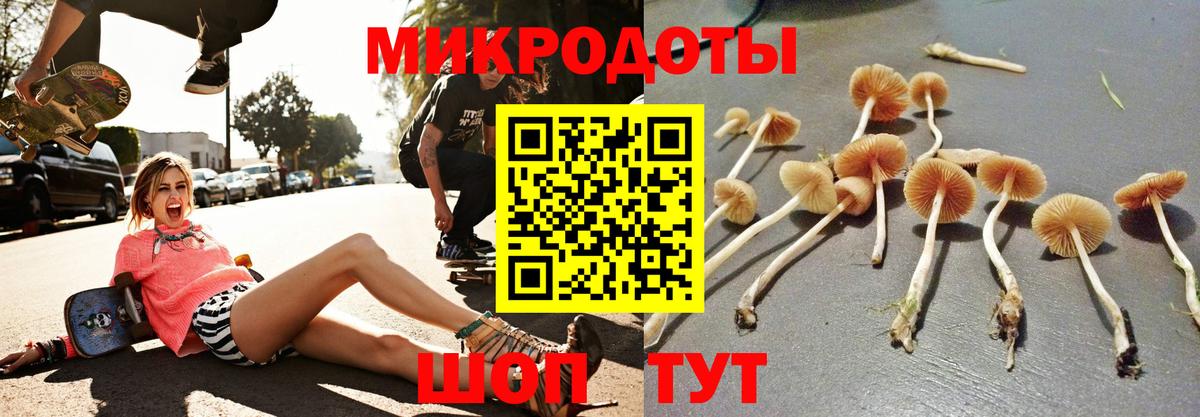 Псилоцибиновые грибы Cubensis  Псилоцибиновые грибы Cubensis  Грозный  Вход с VPN 